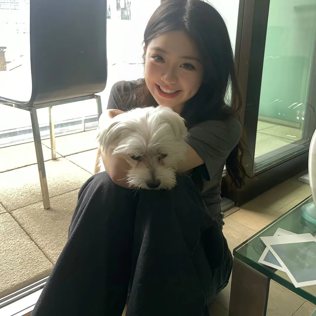 尼高当自强